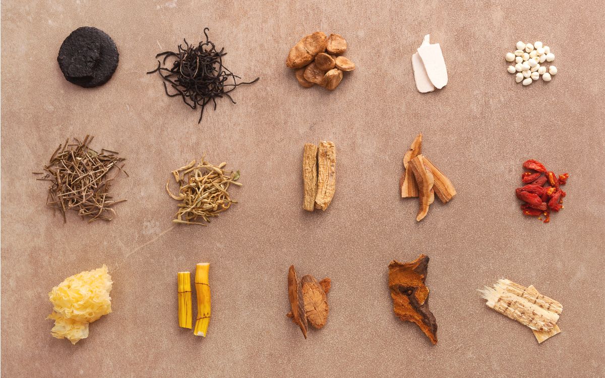 medicina tradicional xinesa